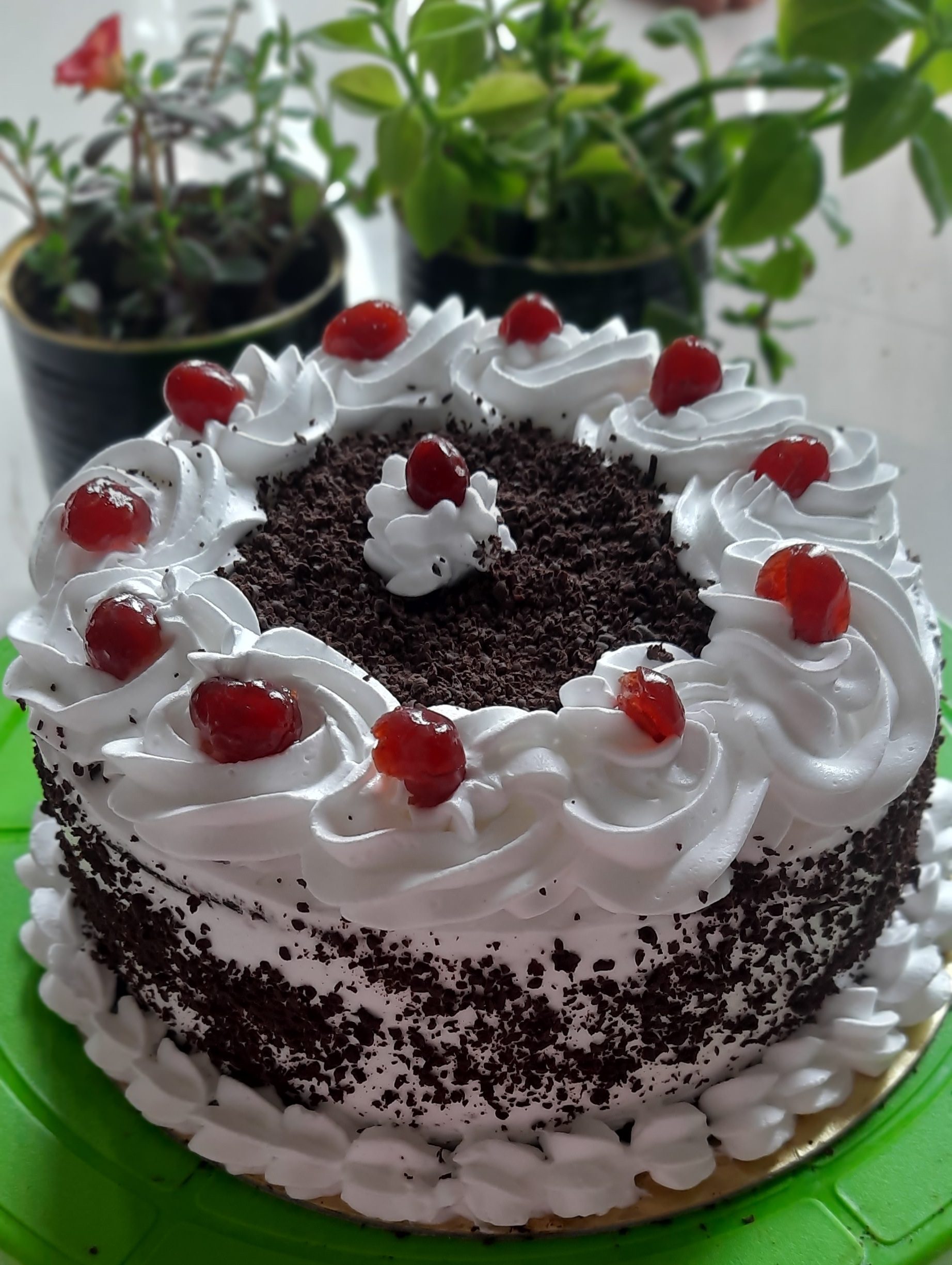 Choco Black Forest Cake - Cakebuzz