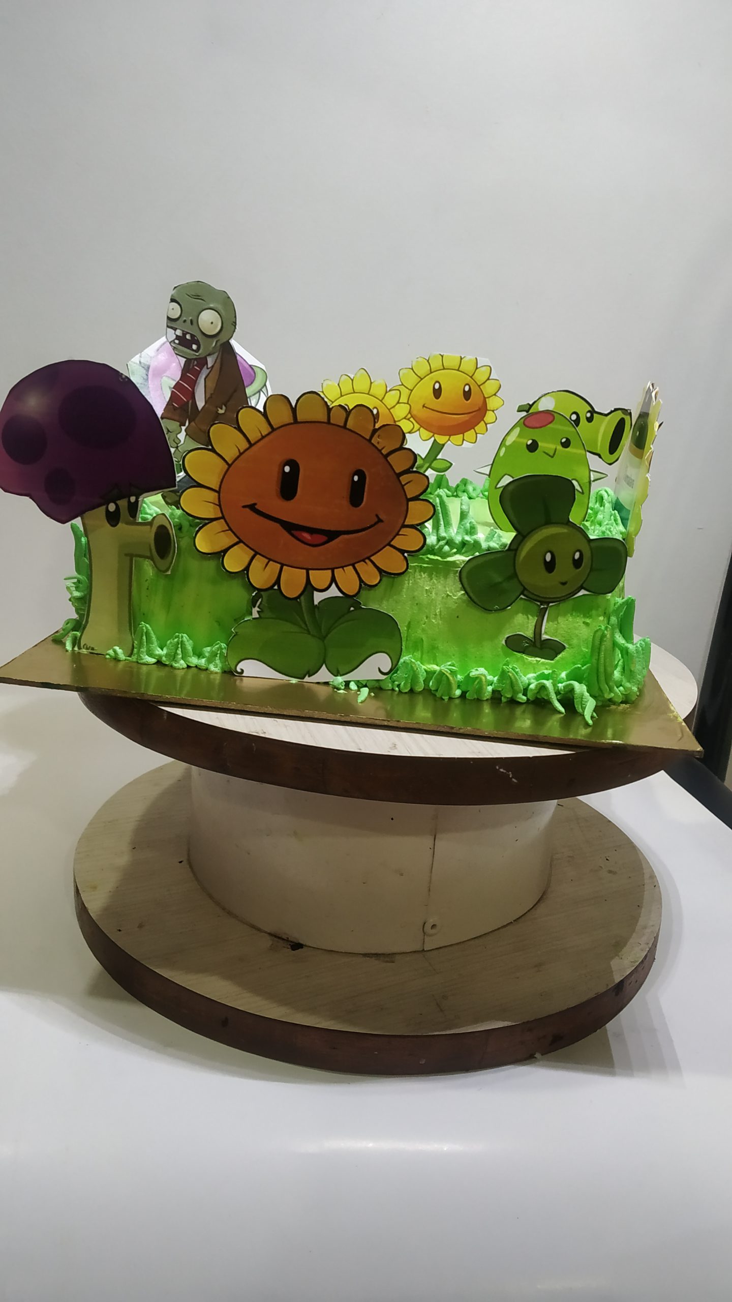 Theme Cake Plant vs Zombies Designs, Images, Price Near Me