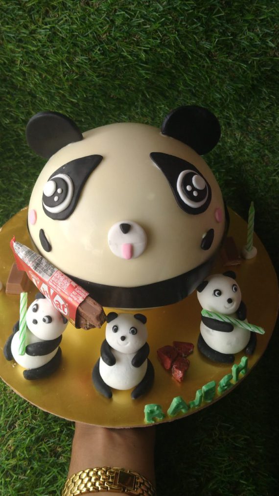 Panda Piñata Cake Designs, Images, Price Near Me