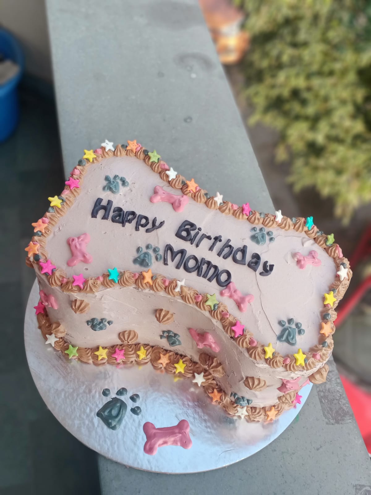 Pets Cake Designs, Images, Price Near Me