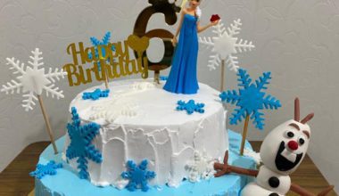 2 Kg Frozen Theme Cake in Alwal, Hyderabad | Delivery Date: 21 June 2022 Today by 6 pm Designs, Images, Price Near Me