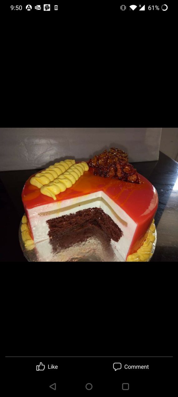 Coconut Jelly Chocolate Cake Designs, Images, Price Near Me