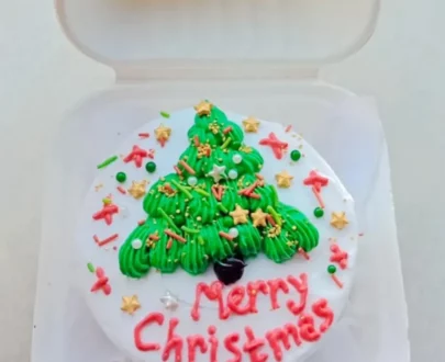 Christmas Bento Cake Designs, Images, Price Near Me