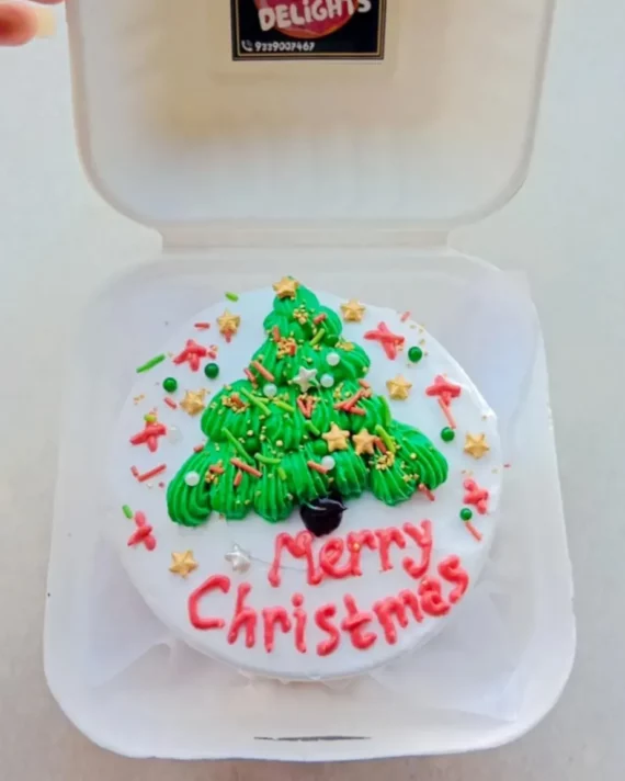Christmas Bento Cake Designs, Images, Price Near Me
